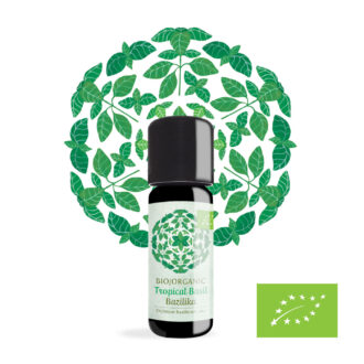 Ekološko eterično olje Bazilika